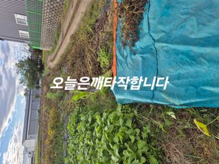 참깨10143님의 기타작물 · 영농일지 작성글 사진