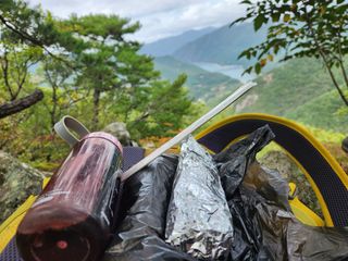 꿀복이농장님의 배추 · 영농일지 작성글 사진