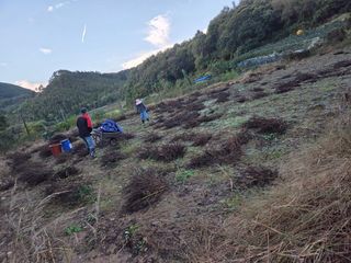 이기은님의 들깨 · 영농일지 작성글 사진