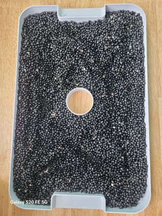 조상연님의 기타작물 · 영농일지 작성글 사진