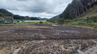 김홍중님의 기타작물 · 영농일지 작성글 사진