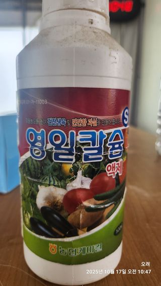 토마토11823님의 기타작물 · 영농일지 작성글 사진
