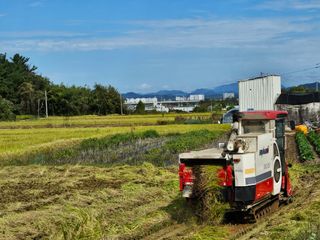 메추라기님의 벼 · 영농일지 작성글 사진