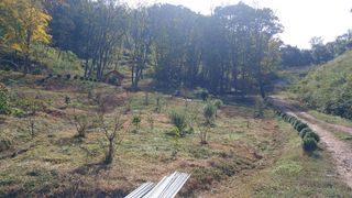 박준권님의 기타작물 · 영농일지 작성글 사진