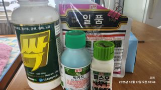 토마토11823님의 기타작물 · 영농일지 작성글 사진