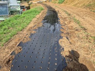 최진일님의 블루베리 · 영농일지 작성글 사진