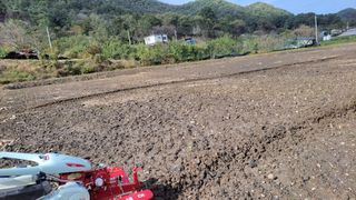 김홍중님의 기타작물 · 영농일지 작성글 사진