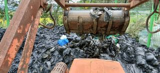 이형근님의 들깨 · 영농일지 작성글 사진