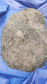 팜모닝 들깨·영농일지 게시글 이미지