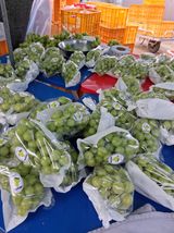 팜모닝 포도·영농일지 게시글 이미지