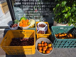 박영애님의 기타작물 · 영농일지 작성글 사진