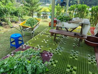 심기섭님의 기타작물 · 영농일지 작성글 사진