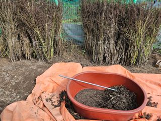 경달현님의 들깨 · 영농일지 작성글 사진