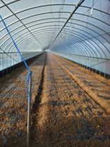 팜모닝 파·영농일지 게시글 이미지