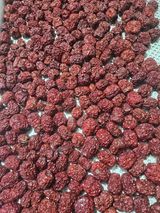 팜모닝 기타작물·영농일지 게시글 이미지