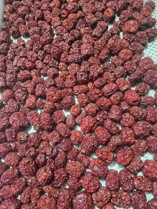 알 수 없음님의 기타작물 · 영농일지 작성글 사진