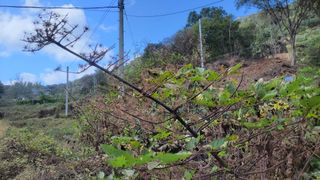 김홍중님의 기타작물 · 영농일지 작성글 사진