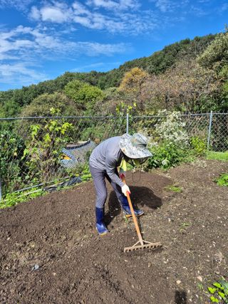 이준영님의 배추 · 영농일지 작성글 사진