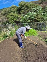 팜모닝 배추·영농일지 게시글 이미지