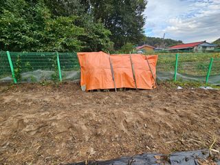 경달현님의 들깨 · 영농일지 작성글 사진