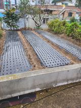 팜모닝 기타작물·영농일지 게시글 이미지