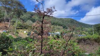 김홍중님의 기타작물 · 영농일지 작성글 사진