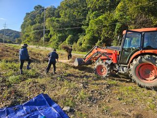 초보농부님의 들깨 · 영농일지 작성글 사진