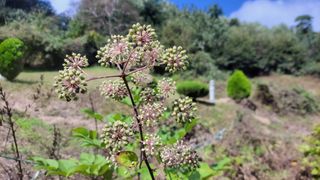 김홍중님의 기타작물 · 영농일지 작성글 사진