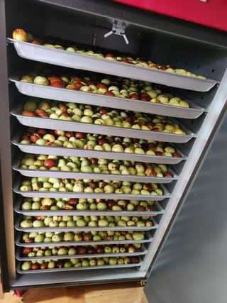 알 수 없음님의 기타작물 · 영농일지 작성글 사진