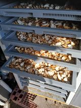 팜모닝 기타작물·영농일지 게시글 이미지