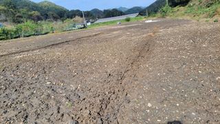 김홍중님의 기타작물 · 영농일지 작성글 사진