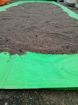 팜모닝 들깨·영농일지 게시글 이미지