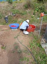 팜모닝 고추·영농일지 게시글 이미지