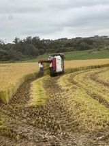 팜모닝 벼·영농일지 게시글 이미지