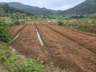 박종민님의 기타작물 · 영농일지 작성글 사진