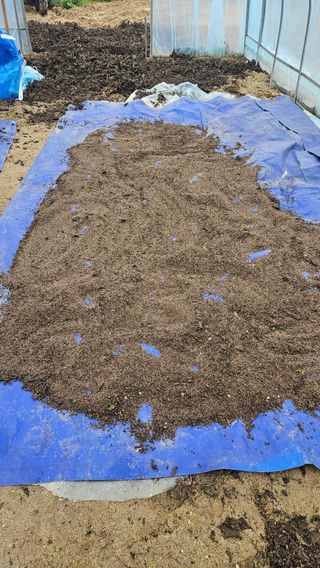 이순정님의 들깨 · 영농일지 작성글 사진