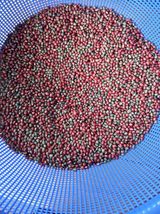 팜모닝 기타작물·영농일지 게시글 이미지