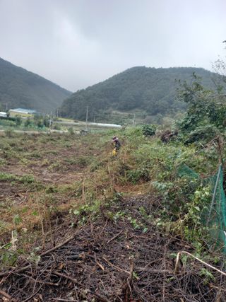 감자9431님의 기타작물 · 영농일지 작성글 사진