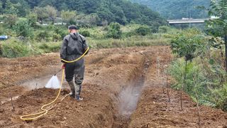 박종민님의 기타작물 · 영농일지 작성글 사진
