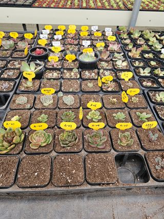 신상섭님의 기타작물 · 영농일지 작성글 사진