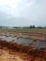 팜모닝 파·영농일지 게시글 이미지