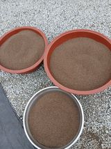 팜모닝 기타작물·영농일지 게시글 이미지