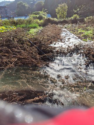 참깨10143님의 기타작물 · 영농일지 작성글 사진