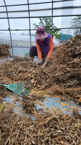 팜모닝 콩·영농일지 게시글 이미지