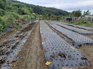 검은눈동자님의 기타작물 · 영농일지 작성글 사진