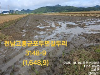 정정치님의 벼 · 영농일지 작성글 사진