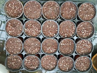 박미라님의 기타작물 · 영농일지 작성글 사진