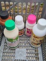 팜모닝 양파·영농일지 게시글 이미지