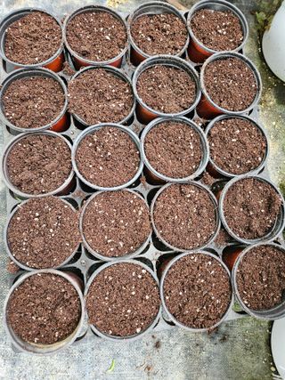 박미라님의 기타작물 · 영농일지 작성글 사진