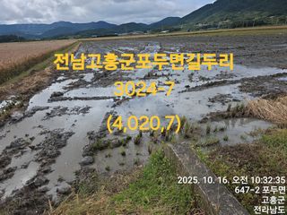 정정치님의 벼 · 영농일지 작성글 사진